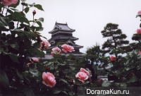 весенний фестиваль роз в японии