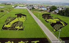 японские фермы