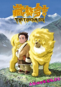 Tibetan Dog