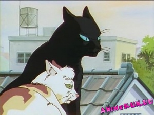Черный кот / Dark Cat OVA