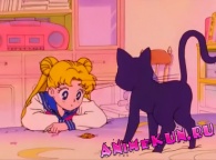 Красавица-воин Сейлор Мун ТВ-1 / Bishoujo Senshi Sailor Moon