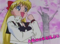 Красавица-воин Сейлор Мун: Сейлор-звезды ТВ-5 / Bishoujo Senshi Sailor Moon Sailor Stars TV