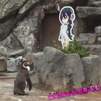 В Японии пингвин решил жить с девочкой из аниме