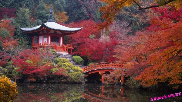 Видео: Прогулка по Киото