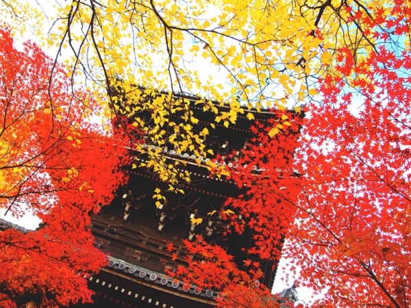 Момидзи - осень в японском стиле