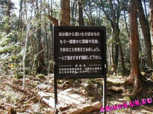 Лес самоубийц в Японии.