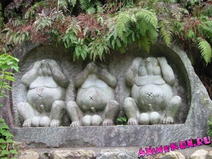Три тануки, Япония
